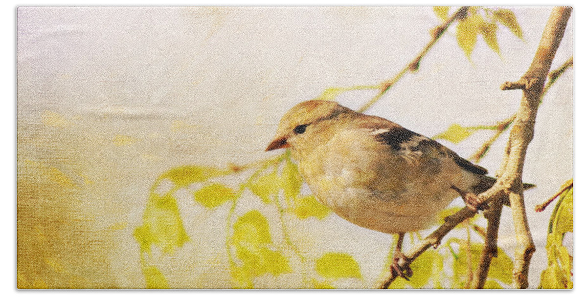 Goldfinch Bath Towel featuring the photograph American Goldfinch by Pam Holdsworth