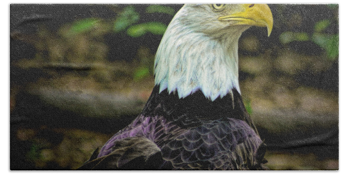 Art Prints Hand Towel featuring the photograph American Pride by Dave Bosse
