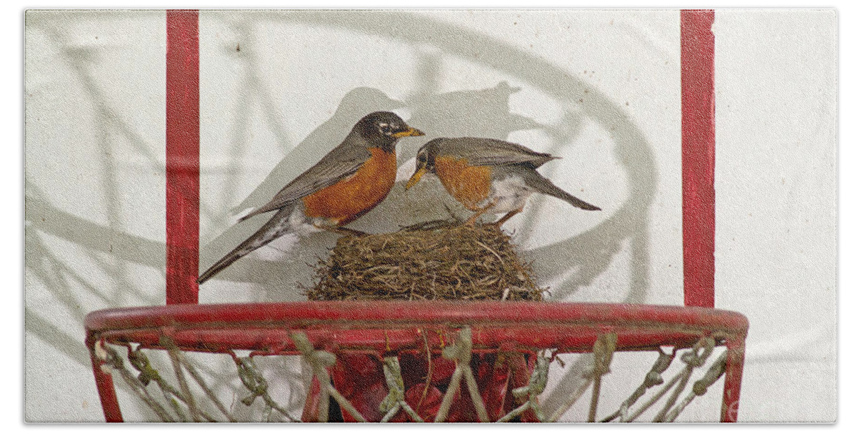 Robin Bath Towel featuring the photograph American Robin Pair At Nest by Kenneth M. Highfill