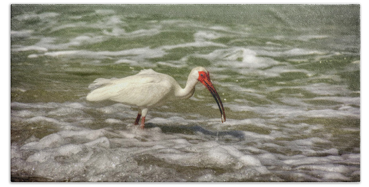 American White Ibis Bath Towel featuring the photograph American White Ibis by Greg and Chrystal Mimbs