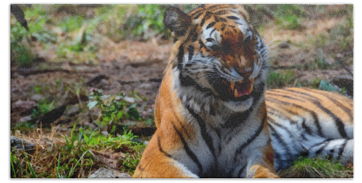 Amur Hand Towel featuring the mixed media Amur Tiger 3 by Angelina Tamez