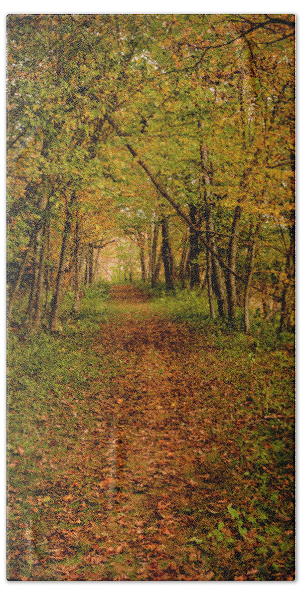 Autumn Bath Towel featuring the photograph An Autumn's Walk by Kevin Senter