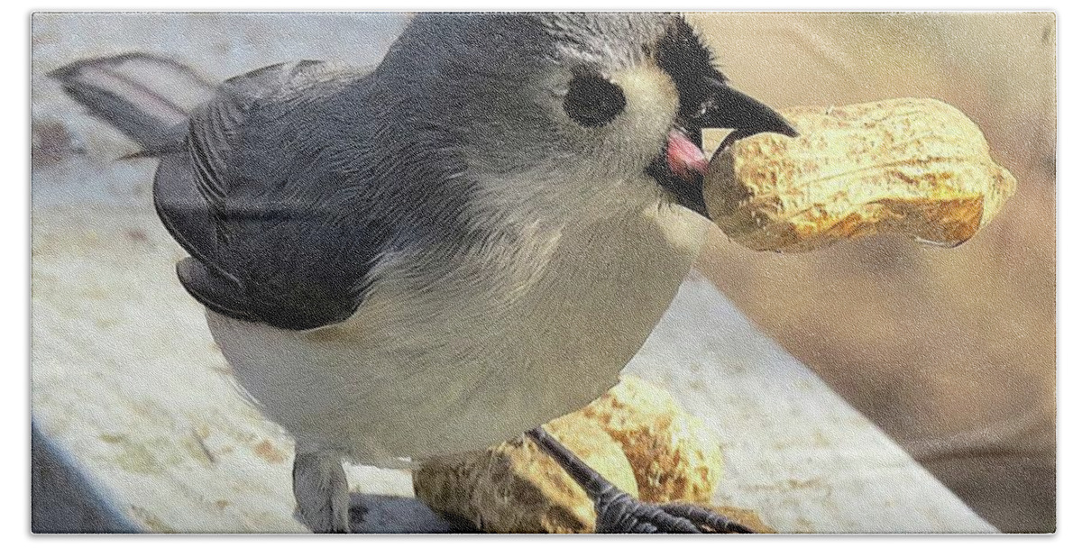Tufted Titmouse Bath Towel featuring the photograph And I'll Save This One for Later by Linda Stern
