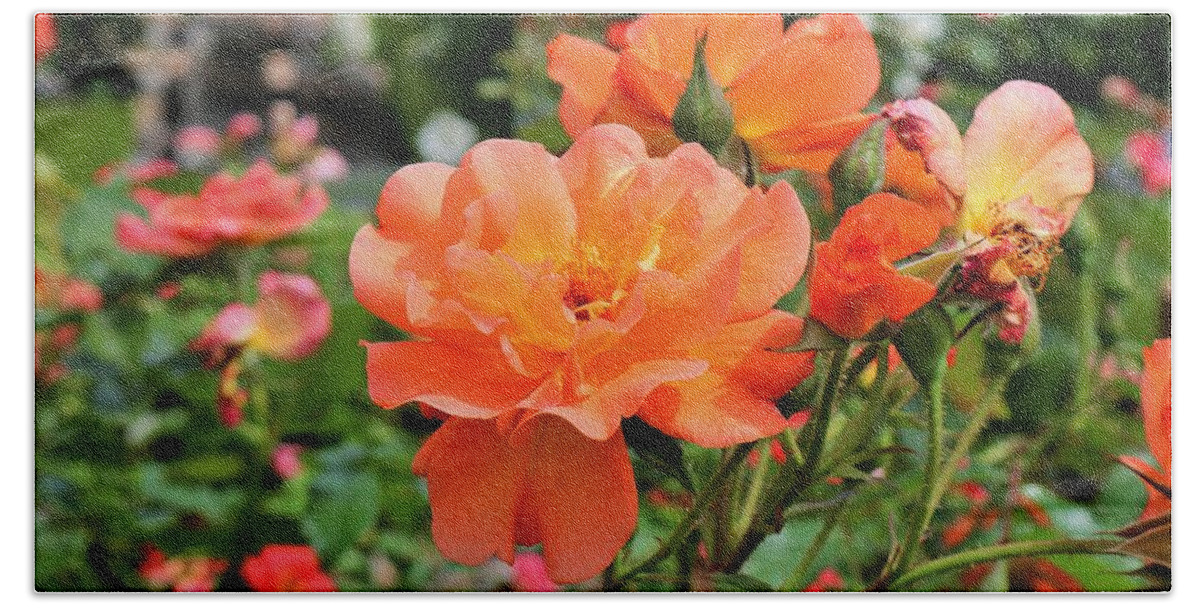 Orange Bath Towel featuring the photograph And So It Shall Be by Michiale Schneider