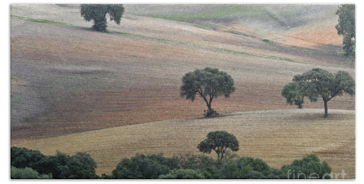 Landscape Bath Towel featuring the photograph Andalusian Landscape by Heiko Koehrer-Wagner
