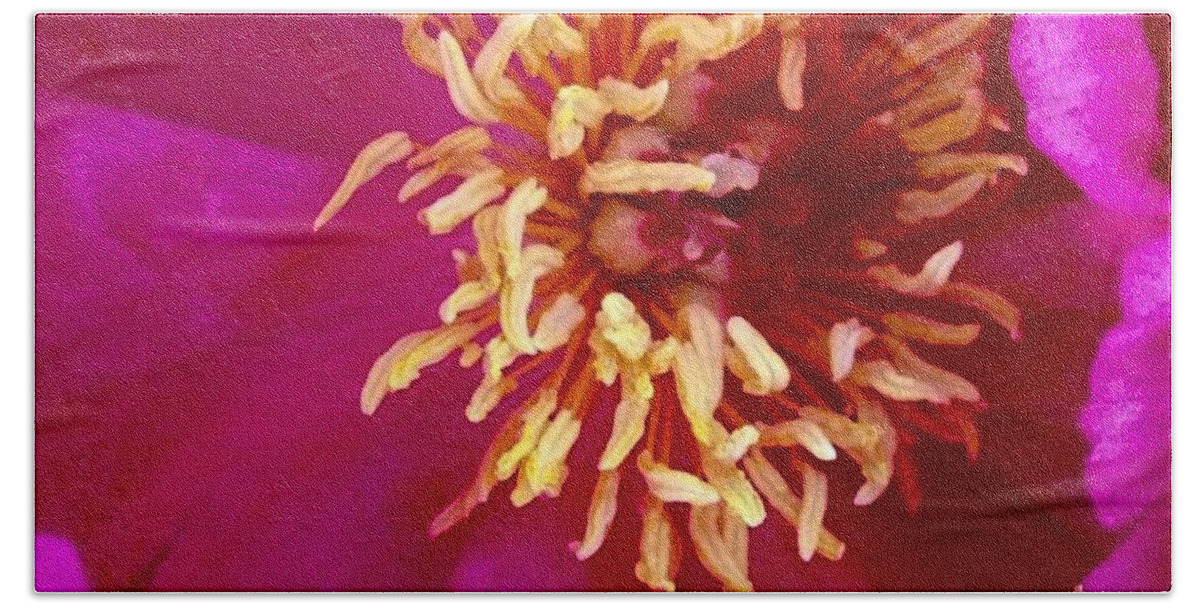 Beauty Bath Towel featuring the photograph Anemone by Denise Railey