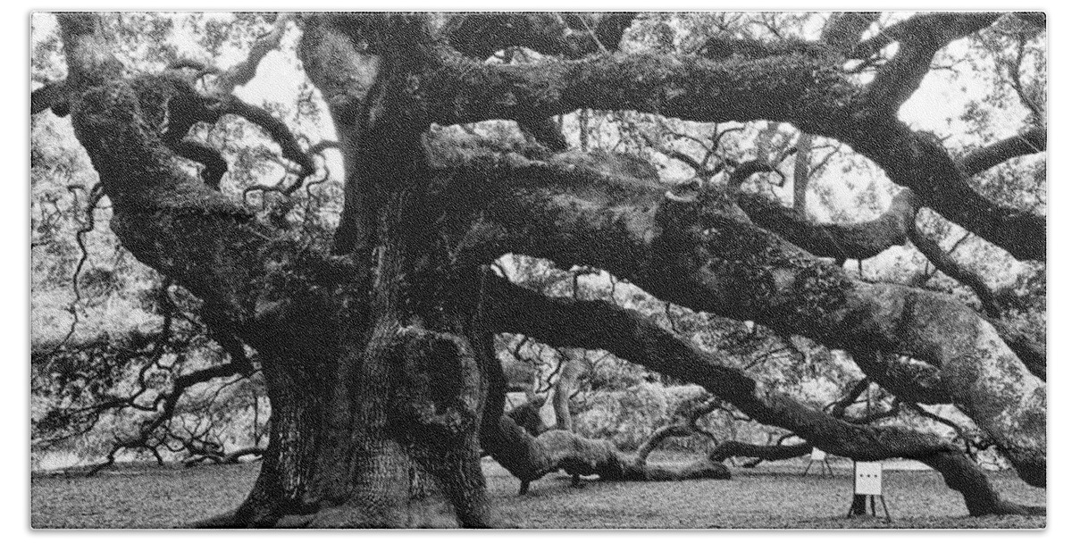 Nature Bath Towel featuring the photograph Angel Oak Tree 2009 Black and White by Louis Dallara