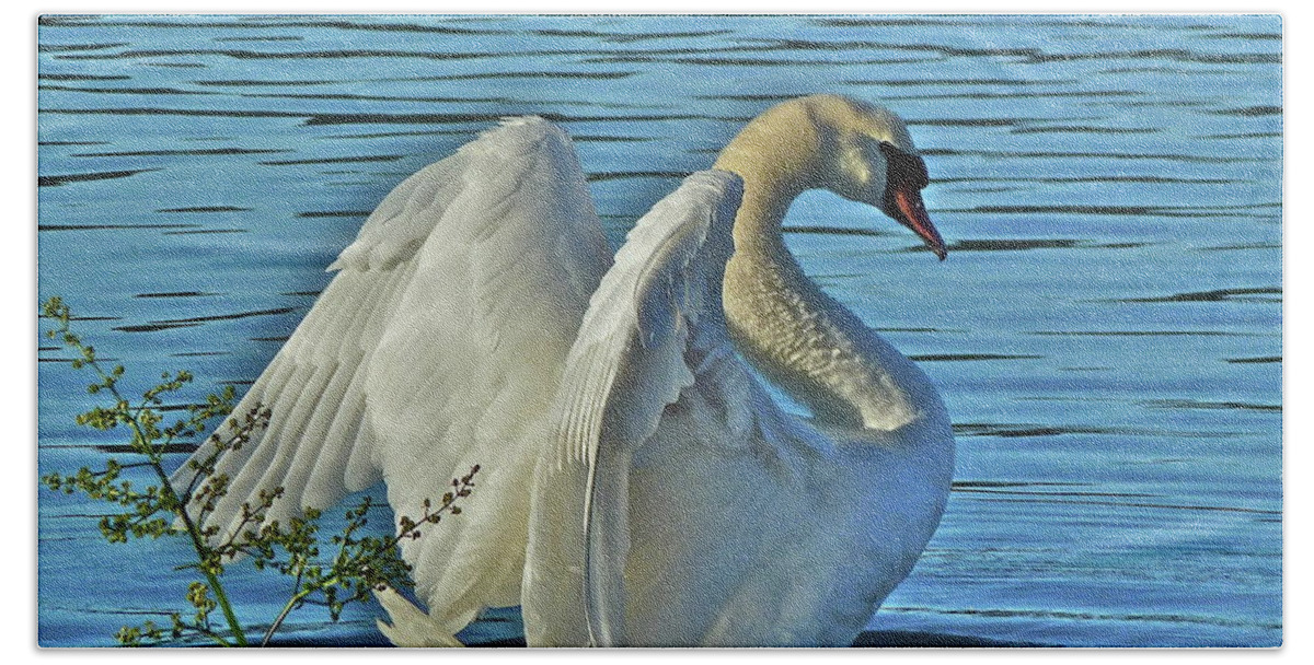 Swan Hand Towel featuring the photograph Angel Wings by Diana Hatcher
