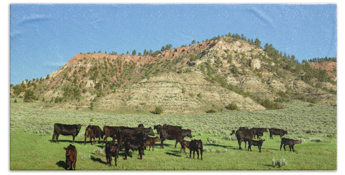 Black Angus Bath Towel featuring the photograph Angus at Cherry Butte by Todd Klassy