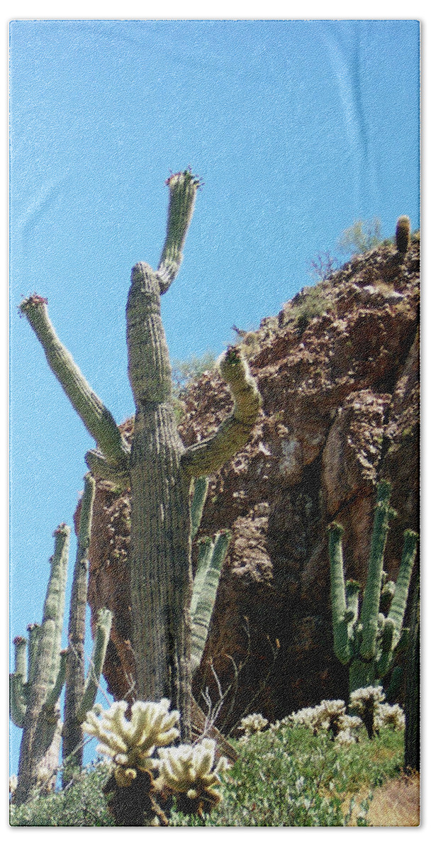 Cactus Bath Towel featuring the photograph Animated Southwest Cactus 1 by Ilia -