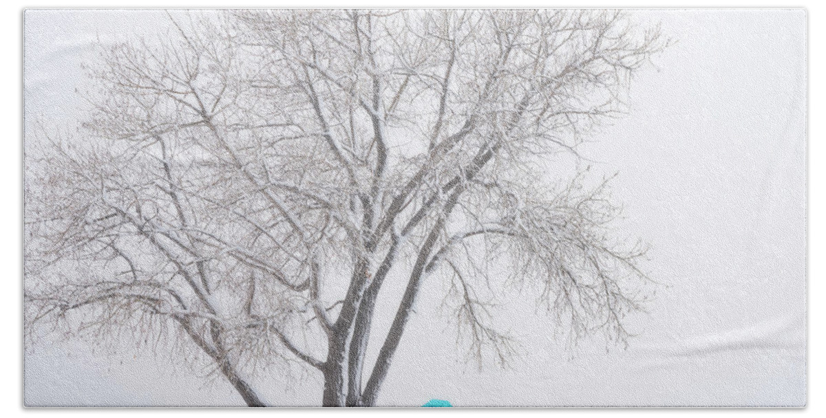 Winter Hand Towel featuring the photograph Another Winter Alone by Darren White