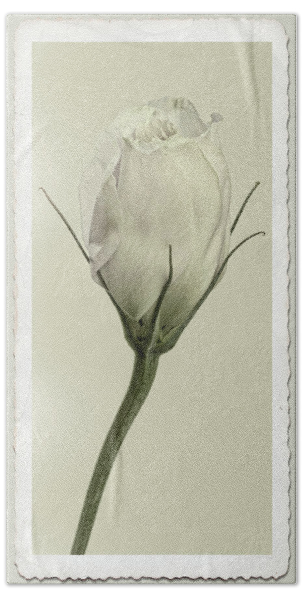 Flowers Hand Towel featuring the photograph Antique Floral Showcard by Garry McMichael