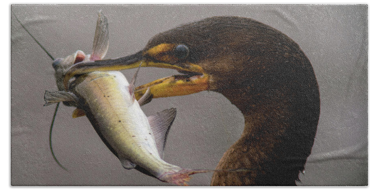 Cormorant Hand Towel featuring the photograph Anyone for Catfish? by Jane Axman