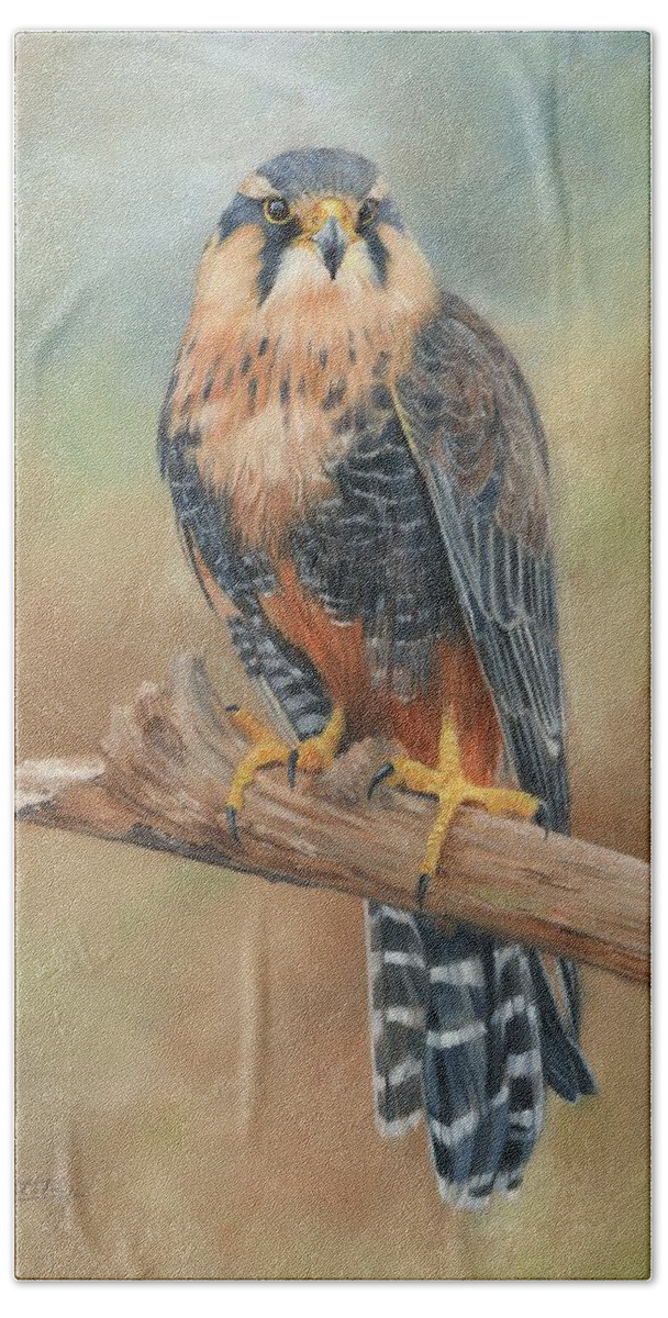 Falcon Bath Towel featuring the painting Aplomado Falcon by David Stribbling