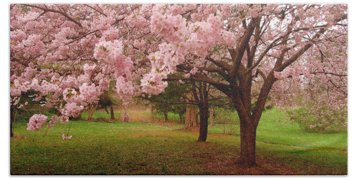 Cherry Blossoms Bath Towel featuring the photograph Approach Me - Holmdel Park by Angie Tirado
