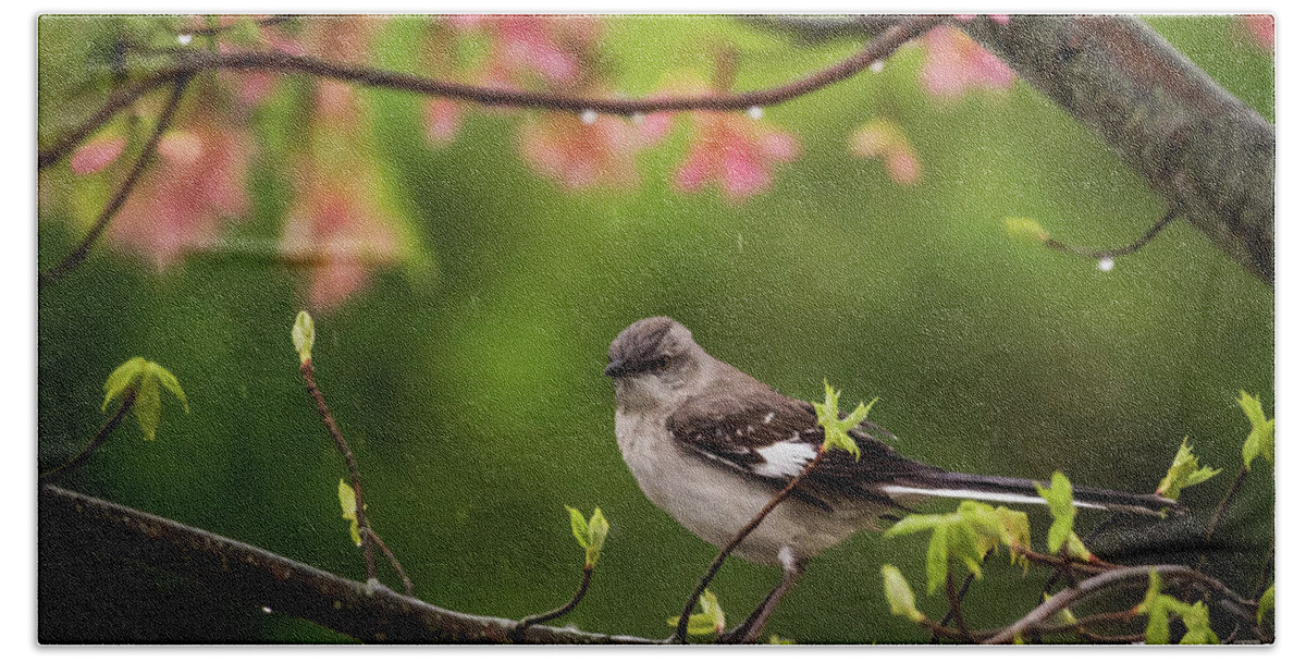 Terry D Photography Hand Towel featuring the photograph April Showers Bring May Flowers Mocking Bird by Terry DeLuco