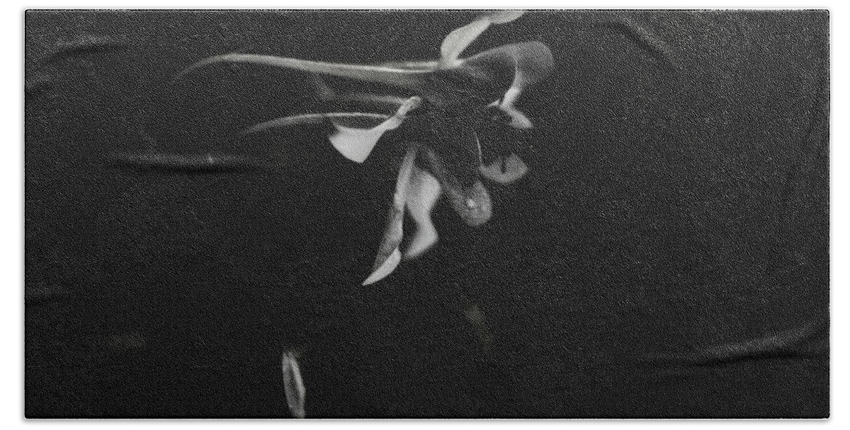 White Bath Towel featuring the photograph Aquilegia Black and White by Rebecca Sherman