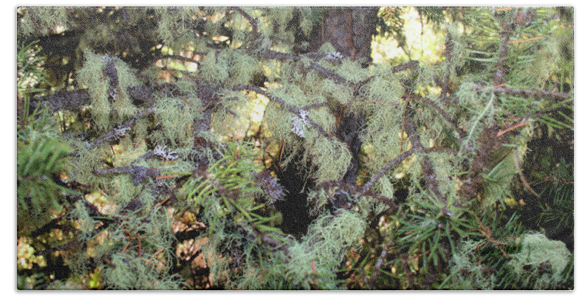 Lichen Bath Towel featuring the photograph Arboreal Lichens by Scott Carlton