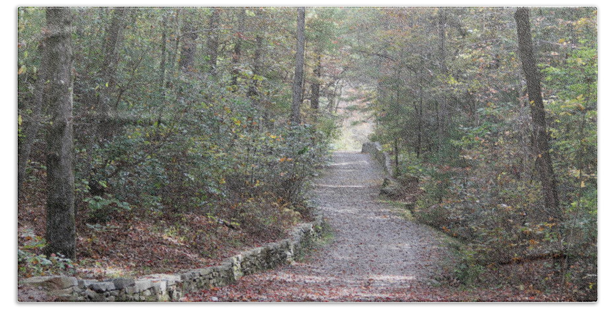 Path Bath Towel featuring the photograph Arboretum Pathway by Allen Nice-Webb