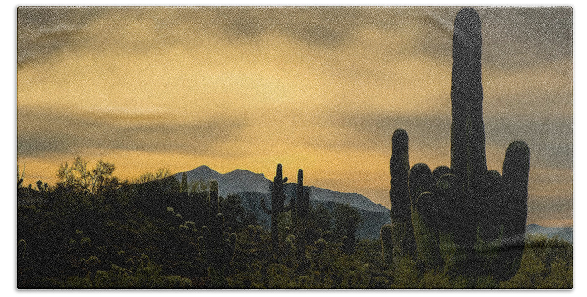 Cactus Bath Towel featuring the photograph Arizona and the Sonoran Desert by Phil And Karen Rispin