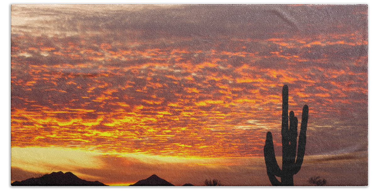 Arizona Hand Towel featuring the photograph Arizona November Sunrise With Saguaro  by James BO Insogna