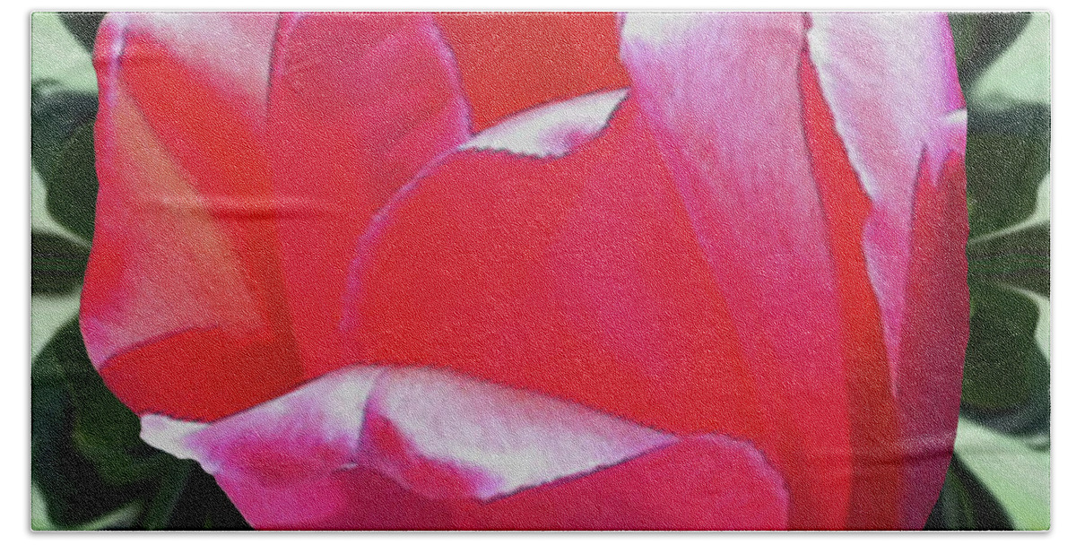 Tulip Bath Towel featuring the photograph Arlington Tulip by Alison Stein