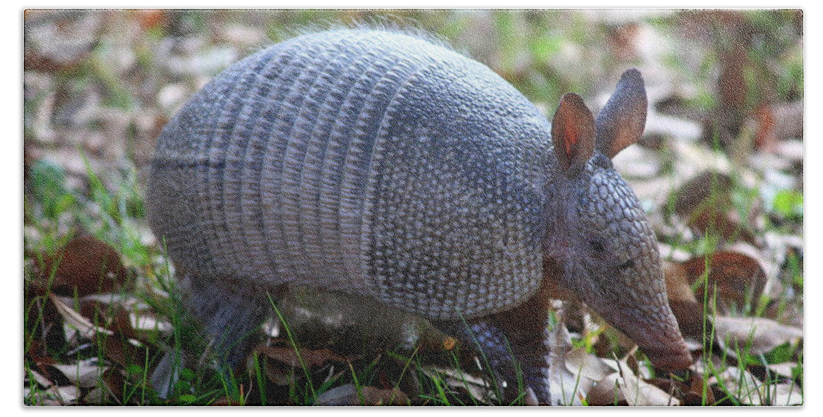 Armadillo Hand Towel featuring the photograph Armadillo by Carol Groenen