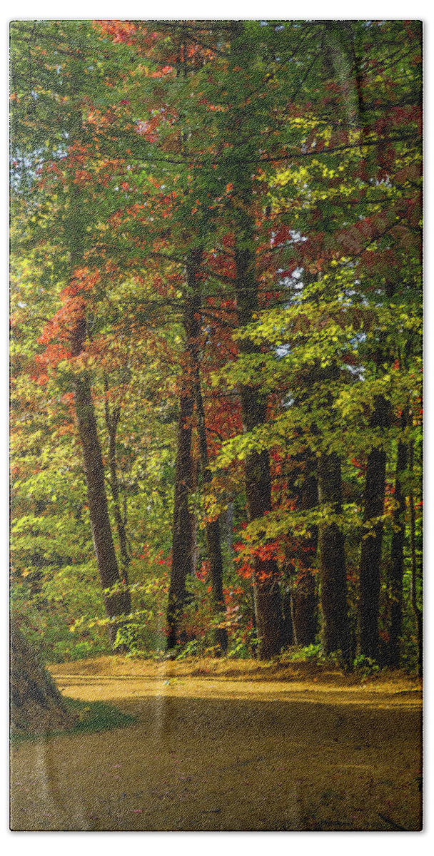 2013-10-22 Hand Towel featuring the photograph Around the curve by Ulrich Burkhalter