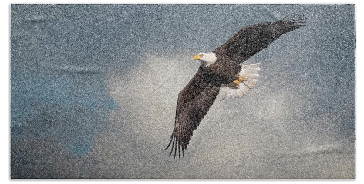 American Bald Eagle Hand Towel featuring the photograph Artistic American Bald Eagle 2017-1 by Thomas Young
