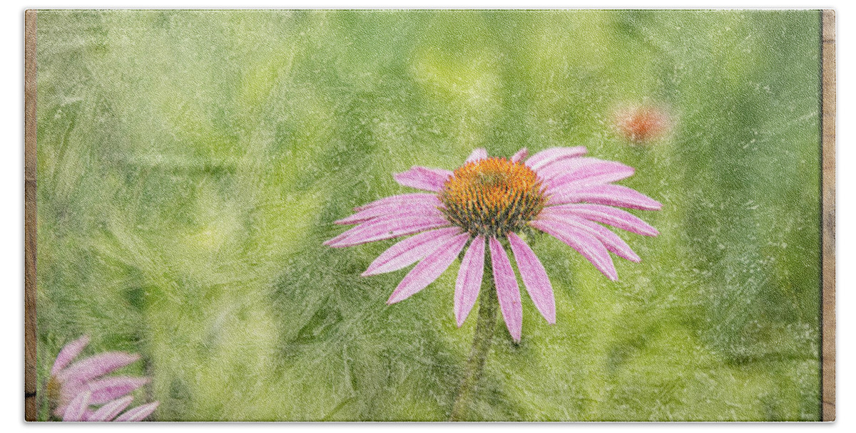 Cone Flower Hand Towel featuring the photograph Artistic Cone Flower 2013-1 by Thomas Young