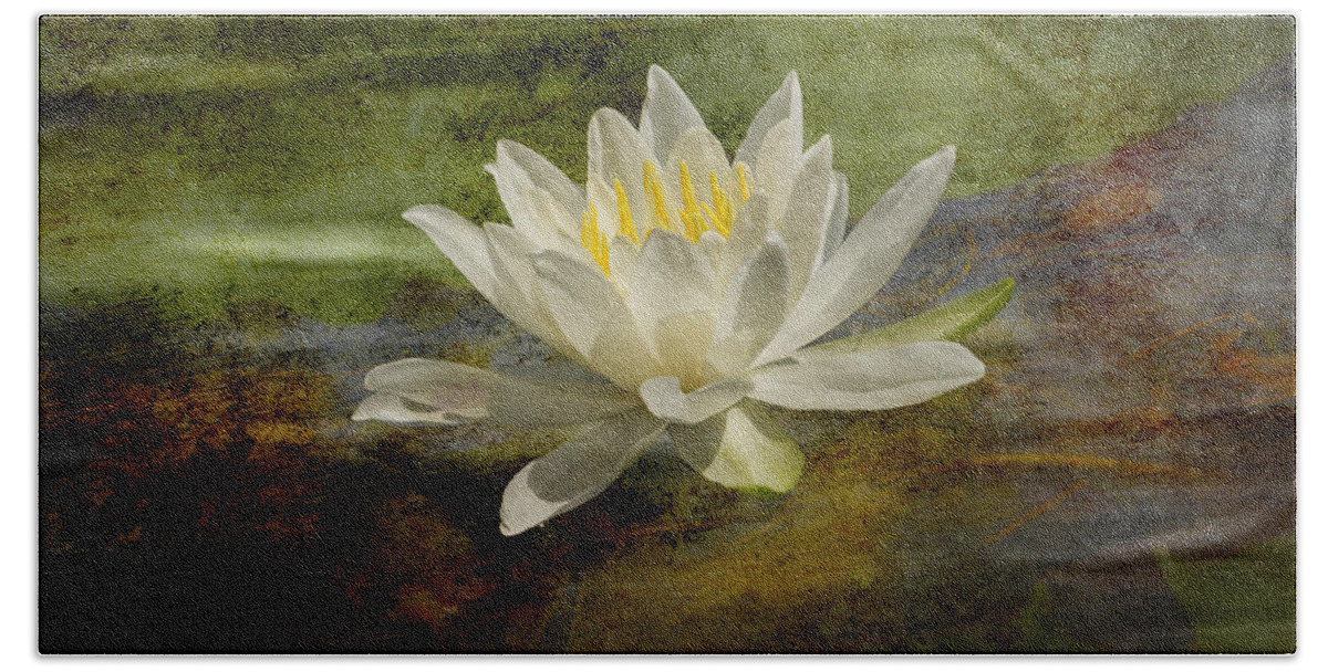 Fragrant Water Lily Hand Towel featuring the photograph Artistic Fragrant Water Lily by Thomas Young