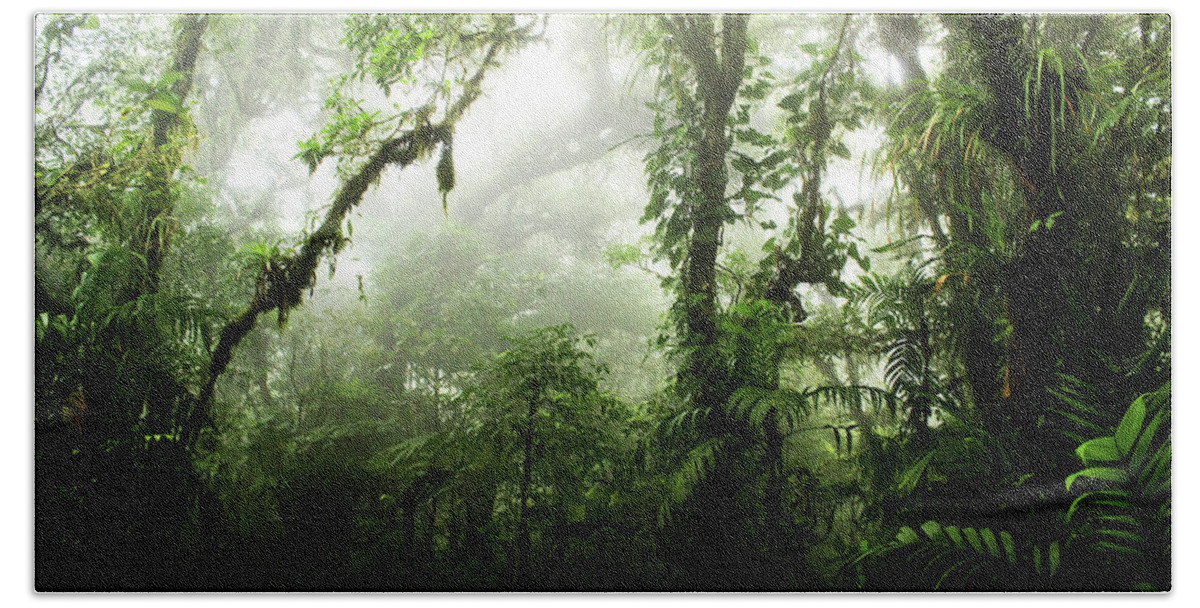 #faatoppicks Bath Sheet featuring the photograph Cloud Forest by Nicklas Gustafsson