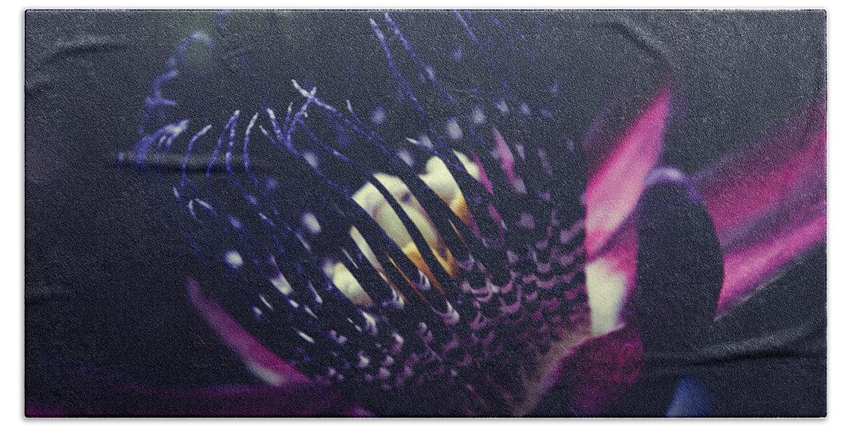 Aloha Hand Towel featuring the photograph Passiflora Alata - Winged Stem Passion Flower - Ruby Star - Ouva by Sharon Mau