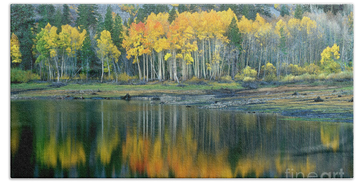 Dave Welling Bath Towel featuring the photograph Aspens In Fall Color Along Lundy Lake Eastern Sierras California by Dave Welling