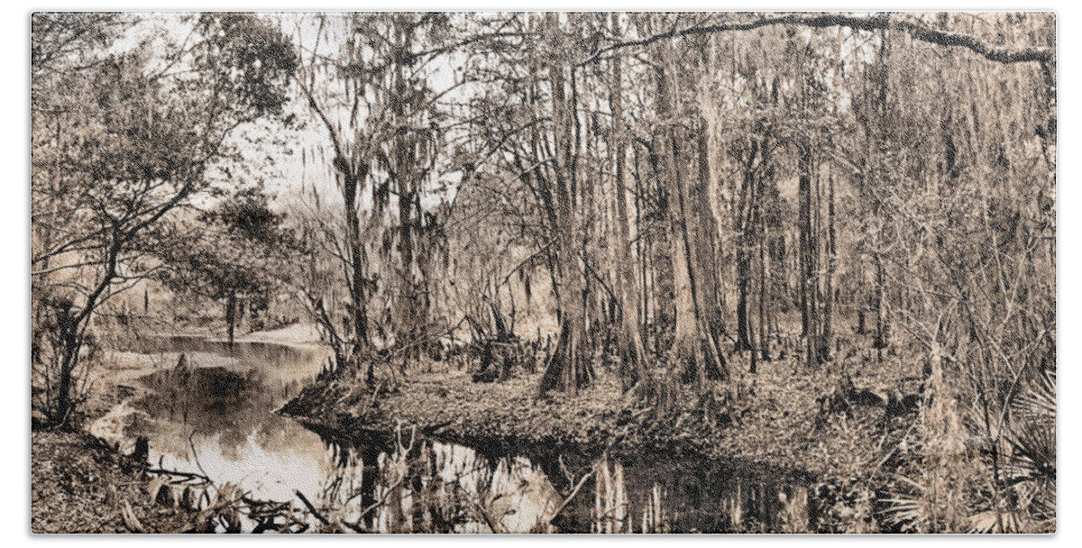 Swamp Bath Towel featuring the photograph At Swamps Edge by Kristin Elmquist