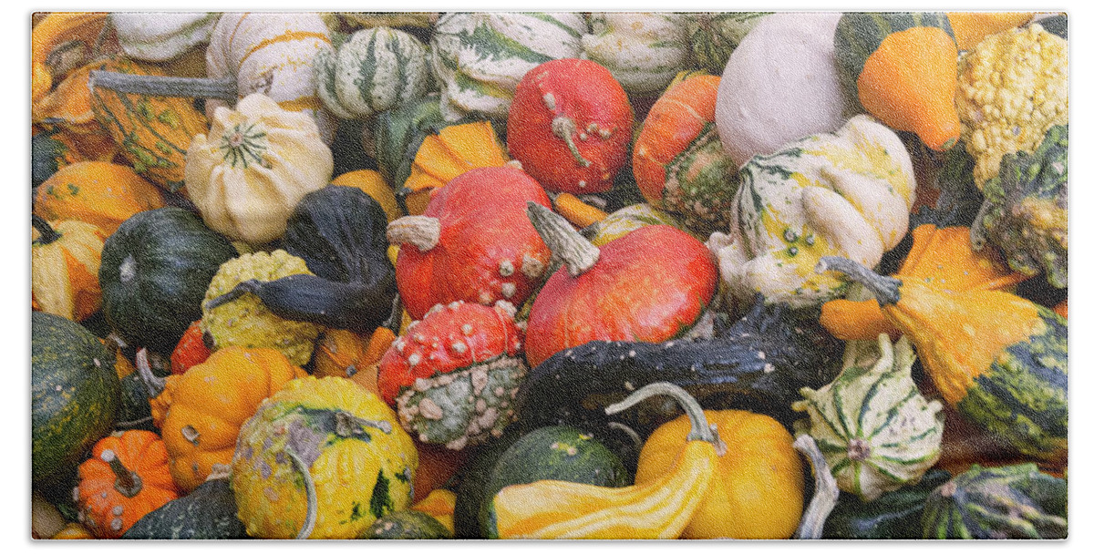 Gourds Bath Towel featuring the photograph At the Farmers Market - Squash and Pumpkins by Peggy Collins