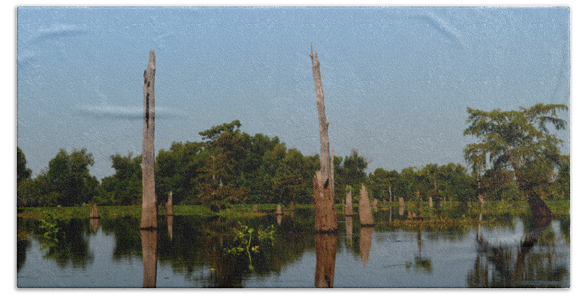 Tree Hand Towel featuring the photograph Atchafalaya Basin 18 Southern Louisiana by Maggy Marsh