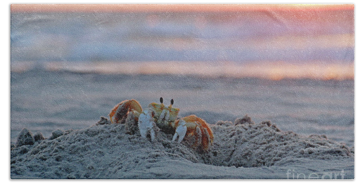 Atlantic Ghost Crab Hand Towel featuring the photograph Atlantic Ghost Crab at Sunrise 2612 by Jack Schultz