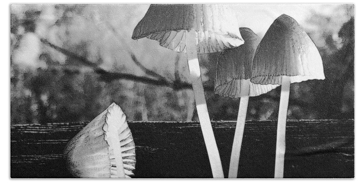 Bw Mushroom Still Life Hand Towel featuring the photograph Autumn Belles by I'ina Van Lawick