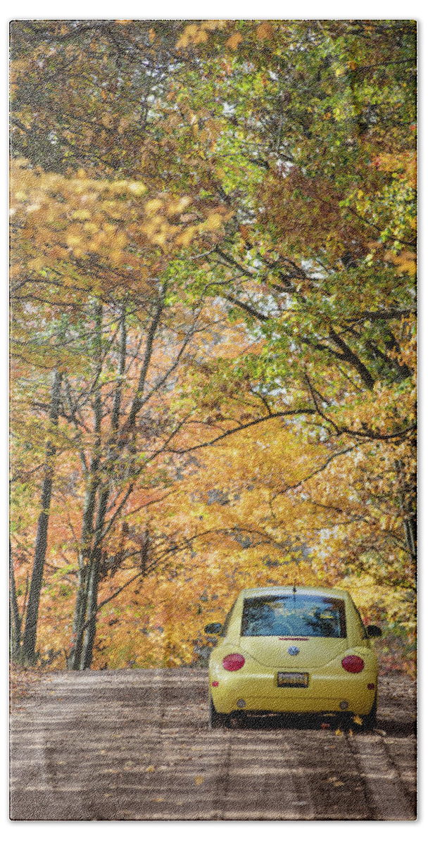 Autumn Hand Towel featuring the photograph Autumn Bug by John McGraw