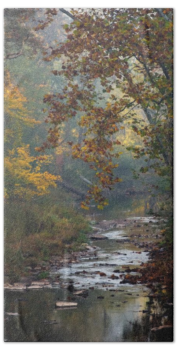 Autumn Bath Towel featuring the photograph Autumn by the Creek by Elsa Santoro