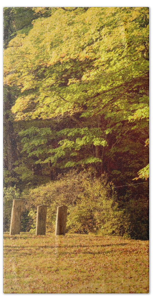 Newfane Vermont Bath Towel featuring the photograph Autumn Cemetery by Tom Singleton