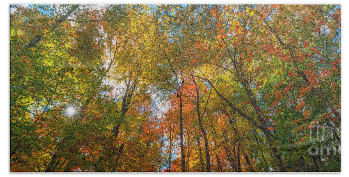 Fall Colors Bath Towel featuring the photograph Autumn Colors Panorama by Michael Ver Sprill