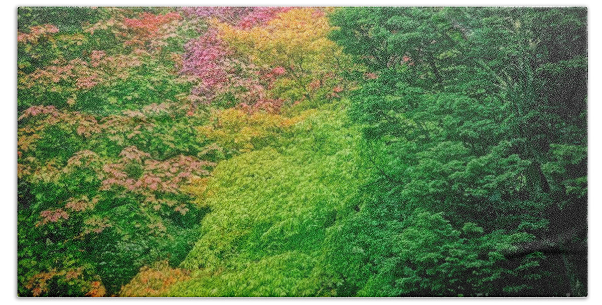 Autumn Trees Hand Towel featuring the photograph Autumn Colors on Acer Tree Leafs by Martyn Arnold