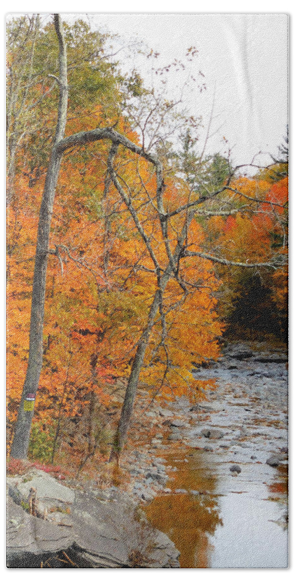 Autumn Creek Bath Towel featuring the painting Autumn creek 11 by Jeelan Clark