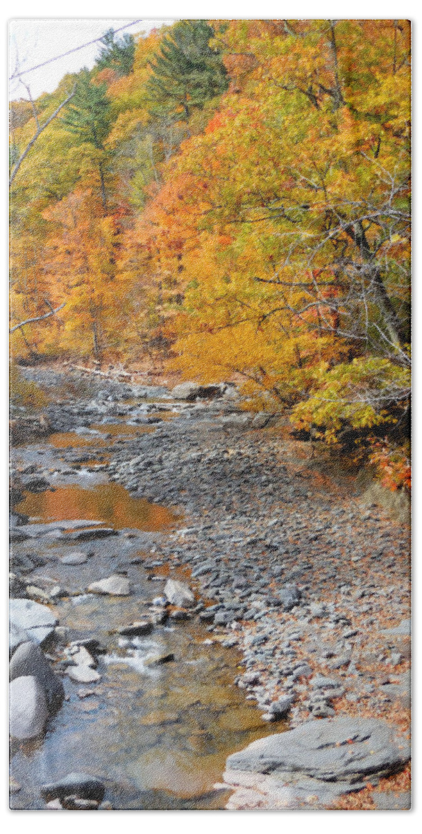 Autumn Creek Hand Towel featuring the painting Autumn creek 6 by Jeelan Clark