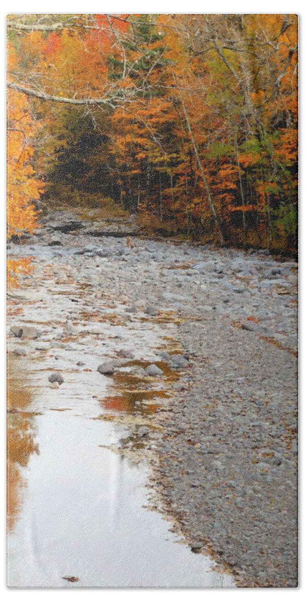Autumn Creek Bath Towel featuring the painting Autumn creek 9 by Jeelan Clark