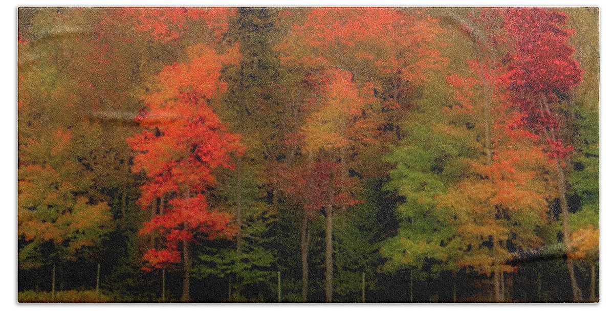 Landscapes Hand Towel featuring the photograph Autumn Fence line by David Patterson