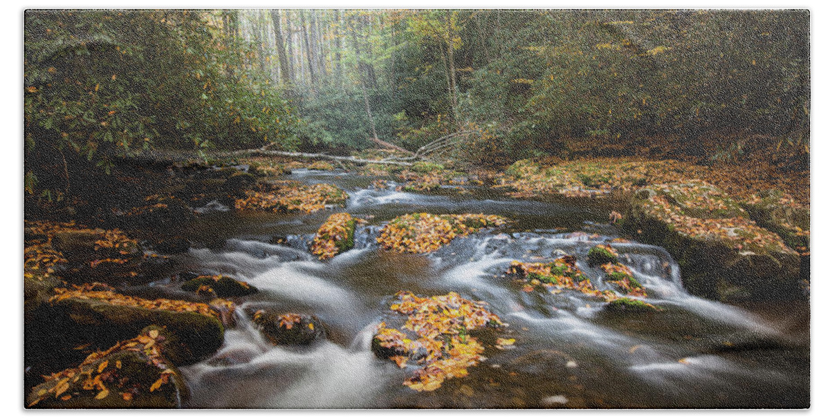 Fall Colors Hand Towel featuring the photograph Autumn Forest Stream by Scott Slone
