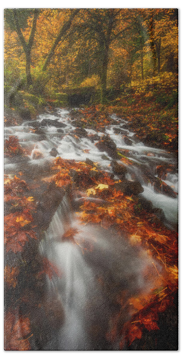 Fall Hand Towel featuring the photograph Autumn in the Gorge by Darren White